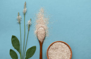 Organic Psyllium Husk