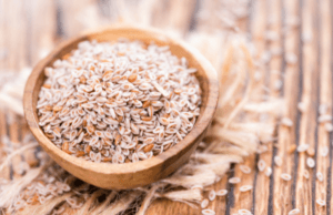Psyllium Seed