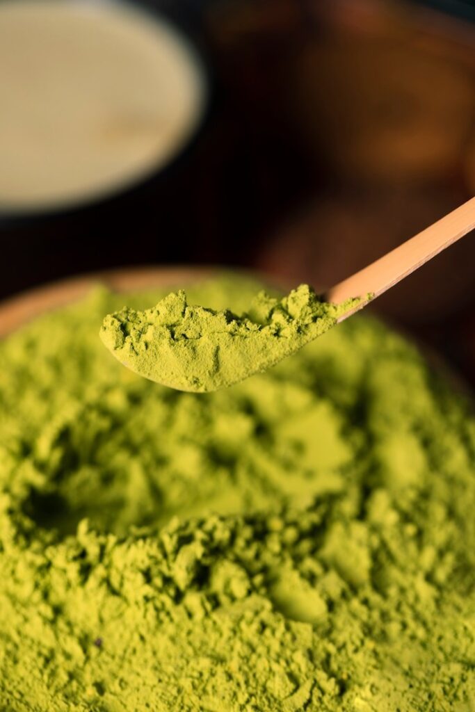 moringa powder korean supplier