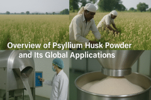 Psyllium Husk Powder and Its Global Applications